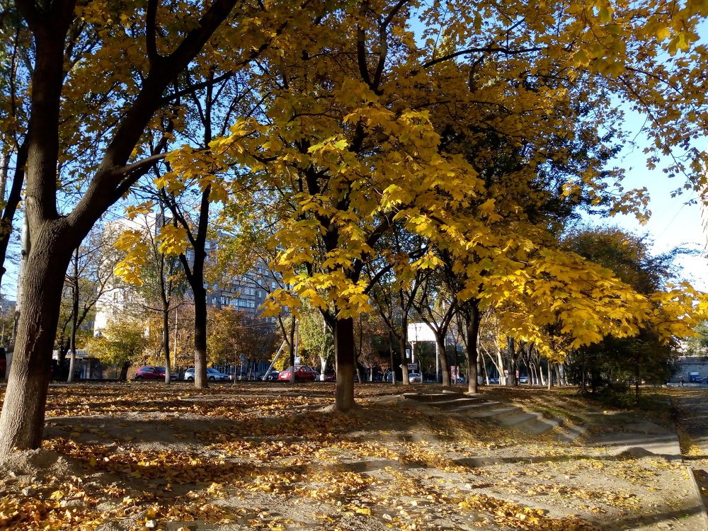 Photograph by Татьяна Пальчикова