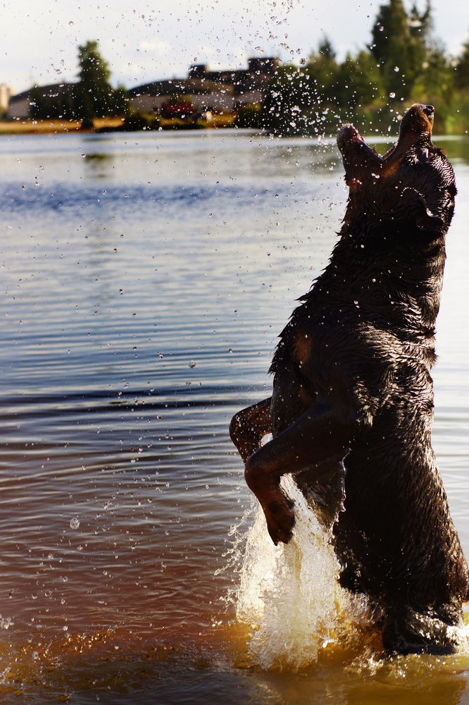 Photograph by Елена