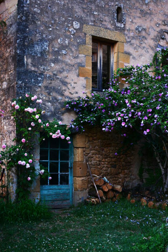 Photograph by Shahabedin Zeini Aslani,