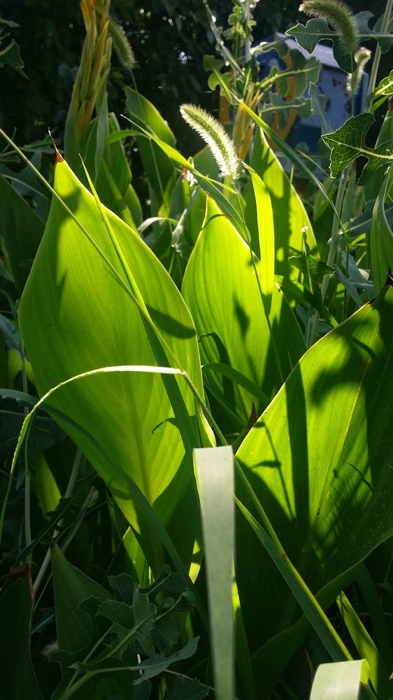 Photograph by Zohre sadat Lajevardi