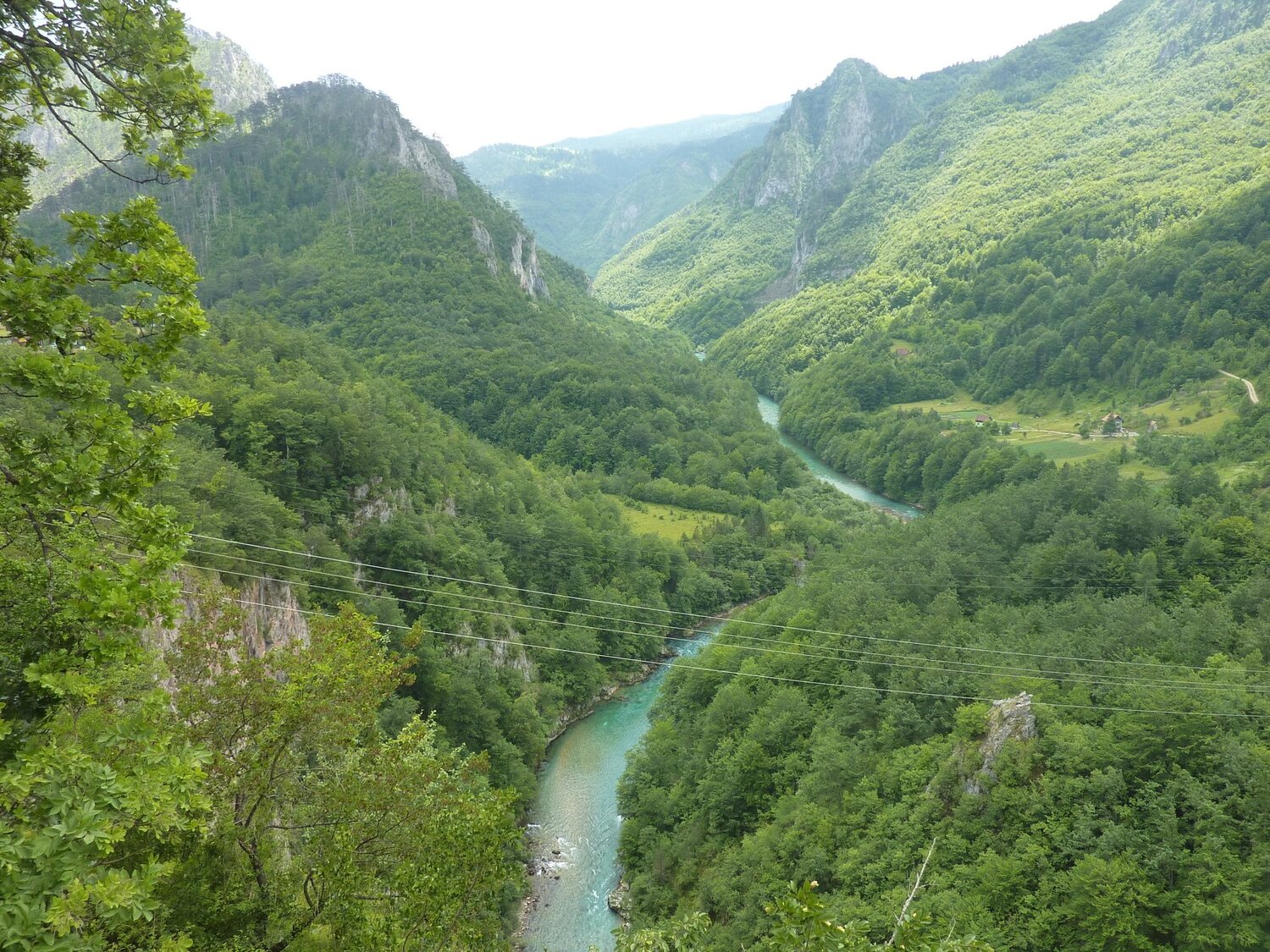 Photo #3806729