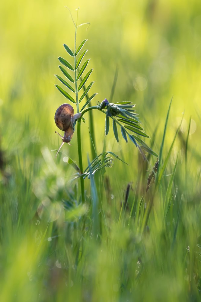 Photograph by Алёна Газукина