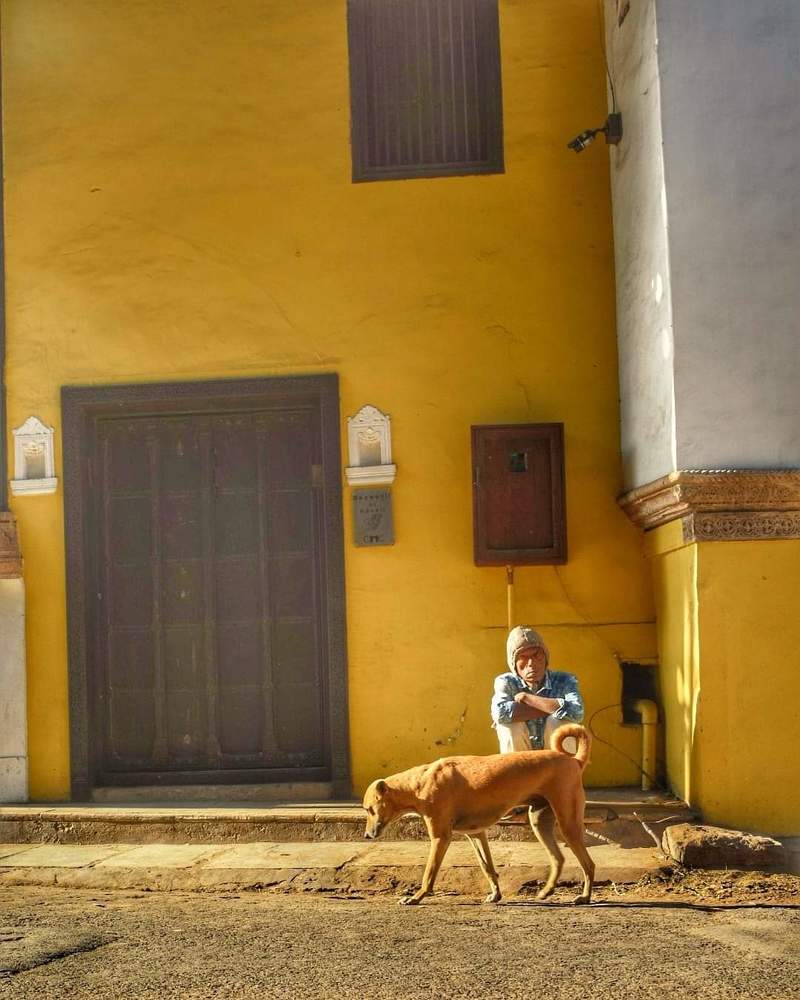 Dog & Master with contrasting background