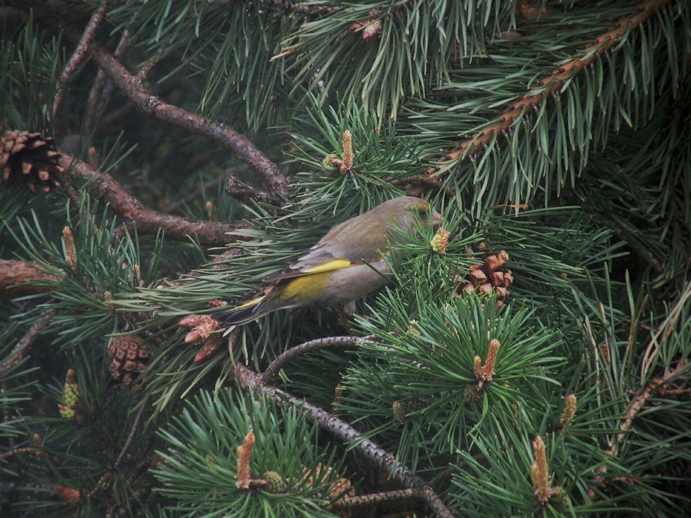 Photograph by Никита Казаков