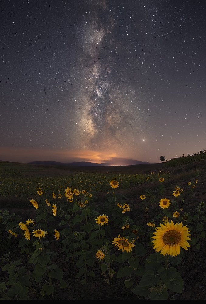 Photograph by Saeed Younesi