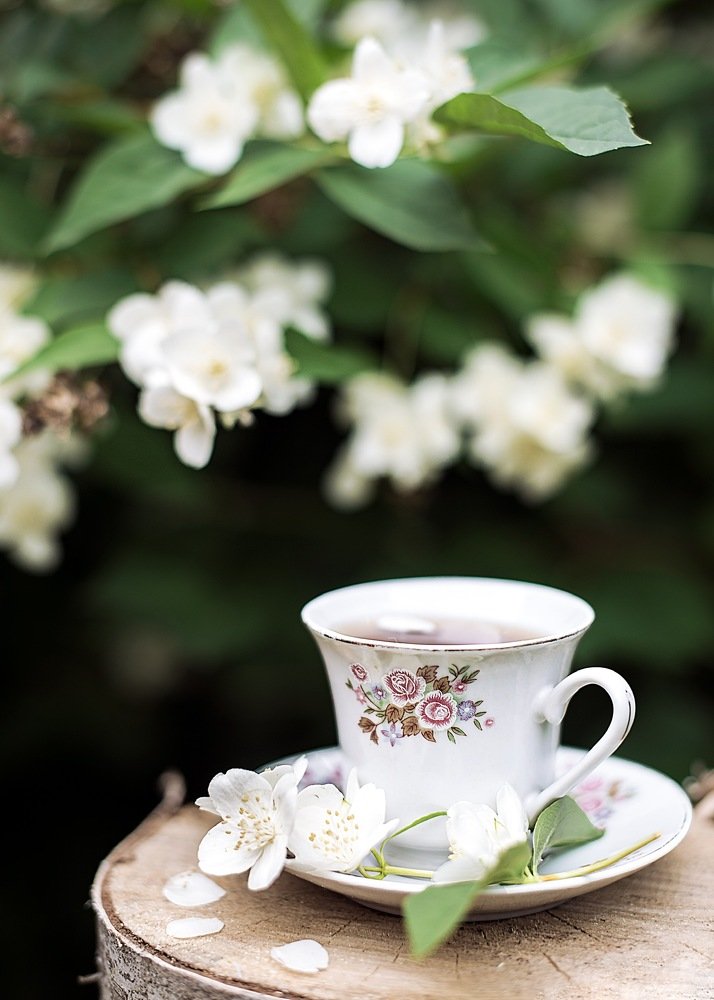 Photograph by Валентина Рязанцева