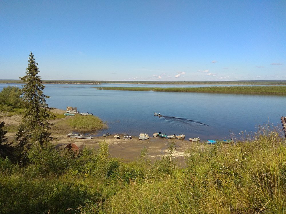 Лето на Печоре