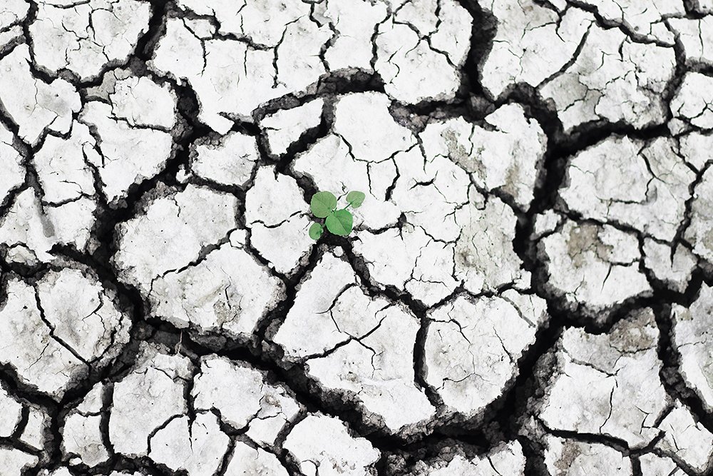 Photograph by Saman koosha