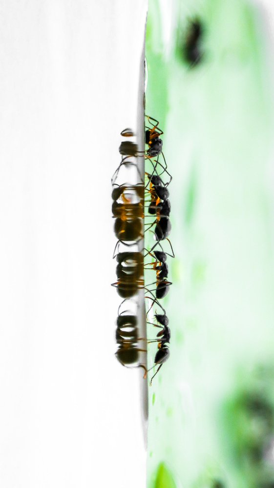 Photograph by kumanan prasath