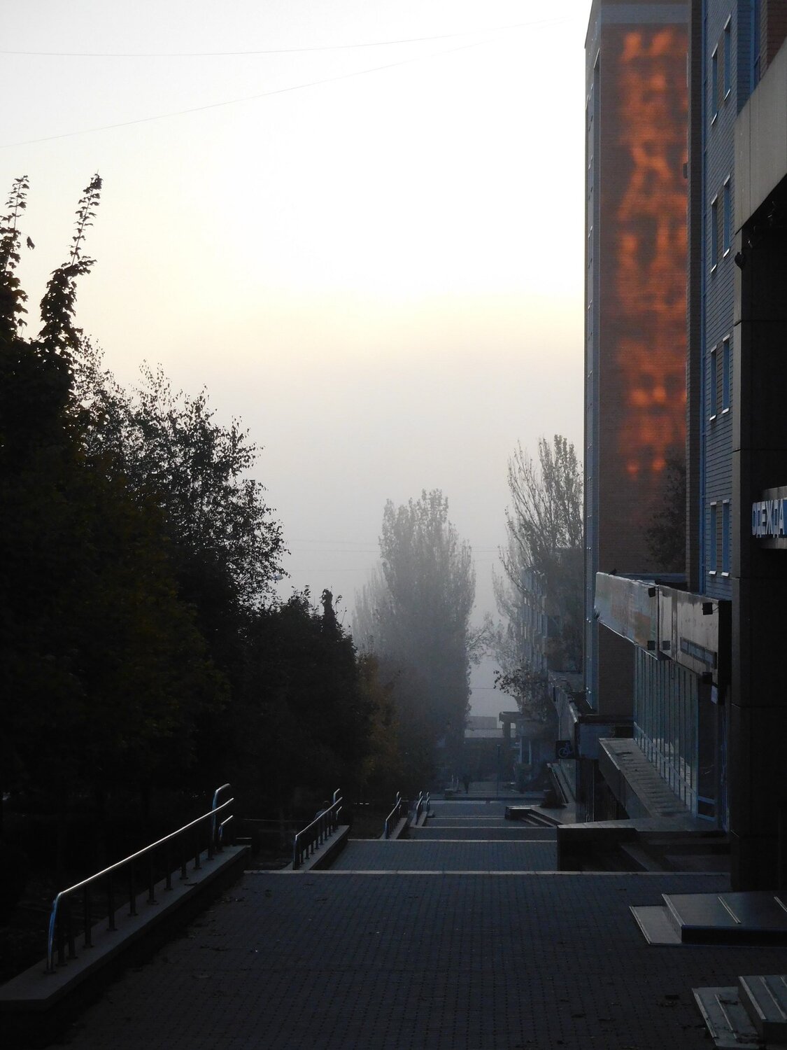 Photo #3806942