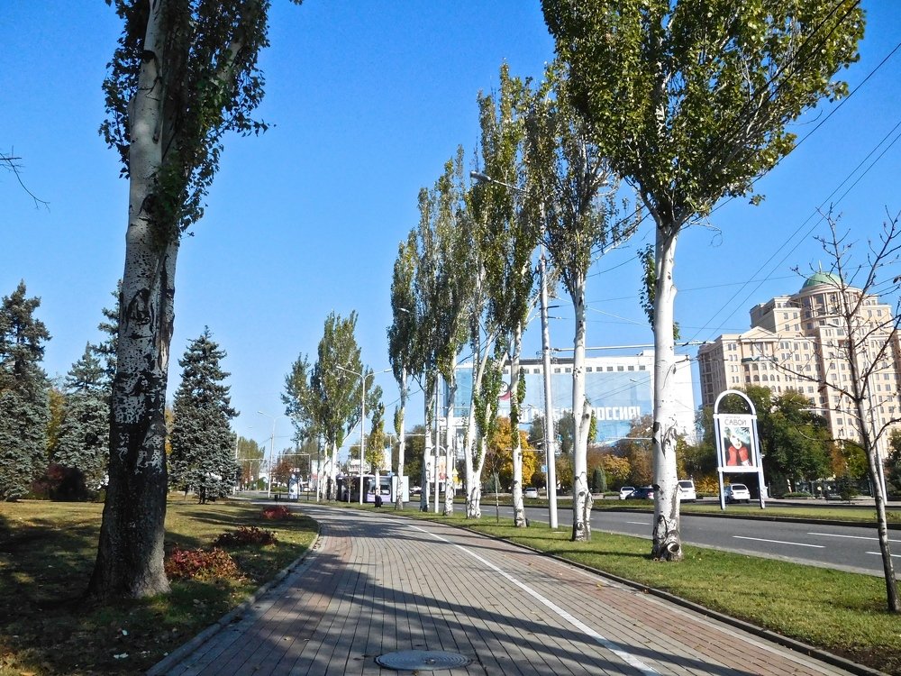 Photograph by Алексей