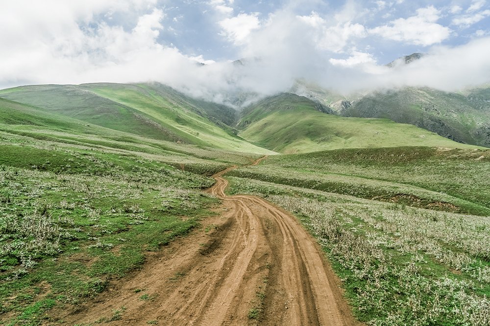 Photograph by Saman koosha