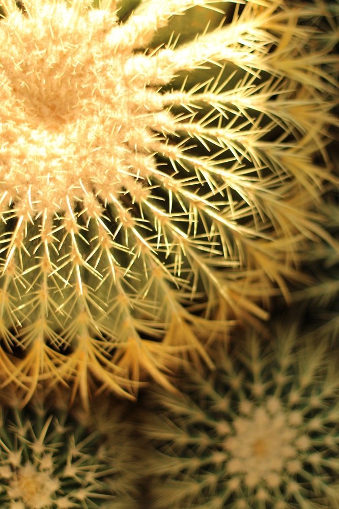 Photograph by Konstantin Morozov