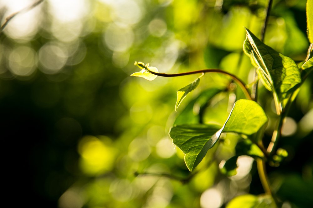 Photograph by Margarita  Davydova