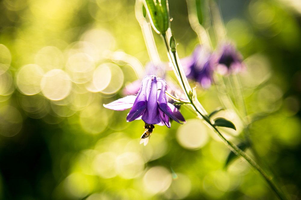 Photograph by Margarita  Davydova