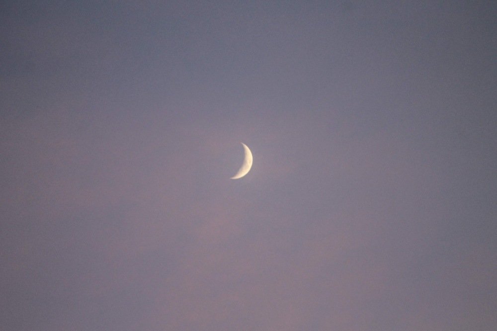 Photograph by Елена Хорошильцева