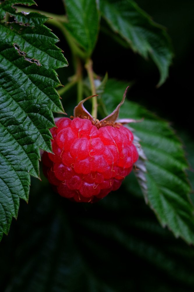 Photograph by Евгений Шувалов