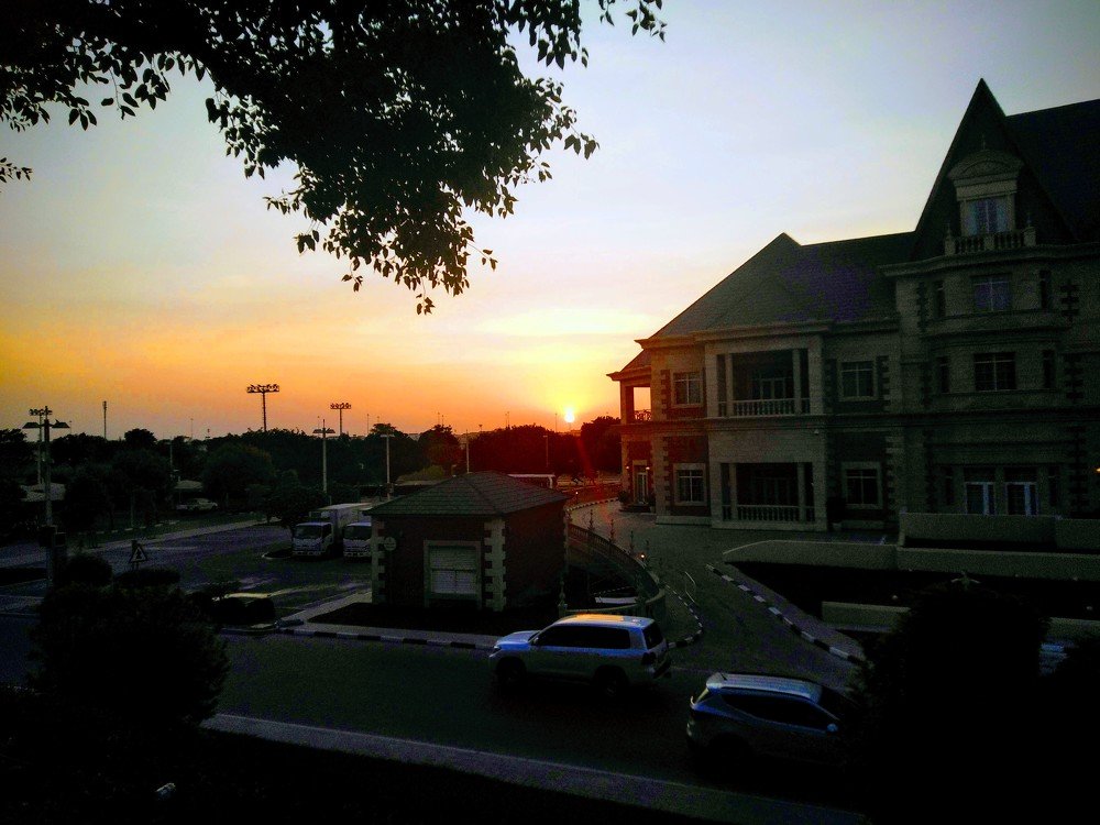 Photo #3807036