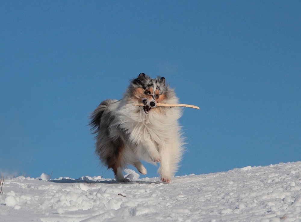 Photograph by Ирина Мамичева