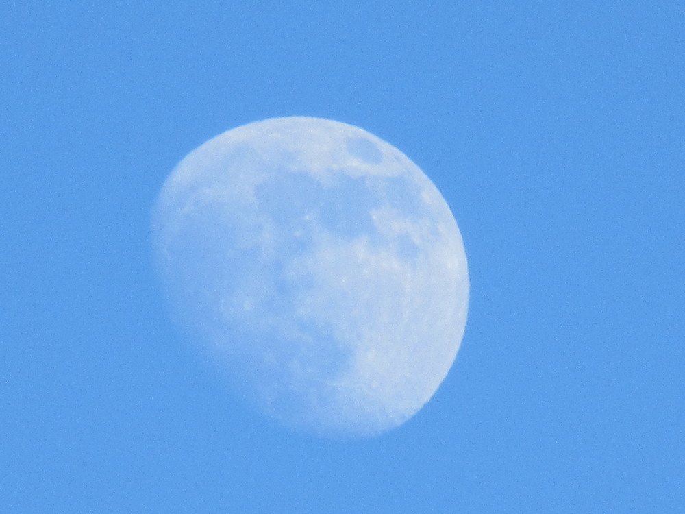 Photograph by Никита Казаков