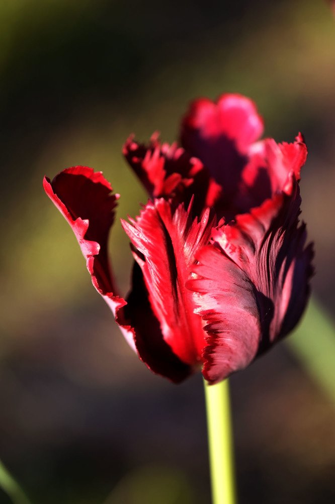 Photograph by Евгений Шувалов