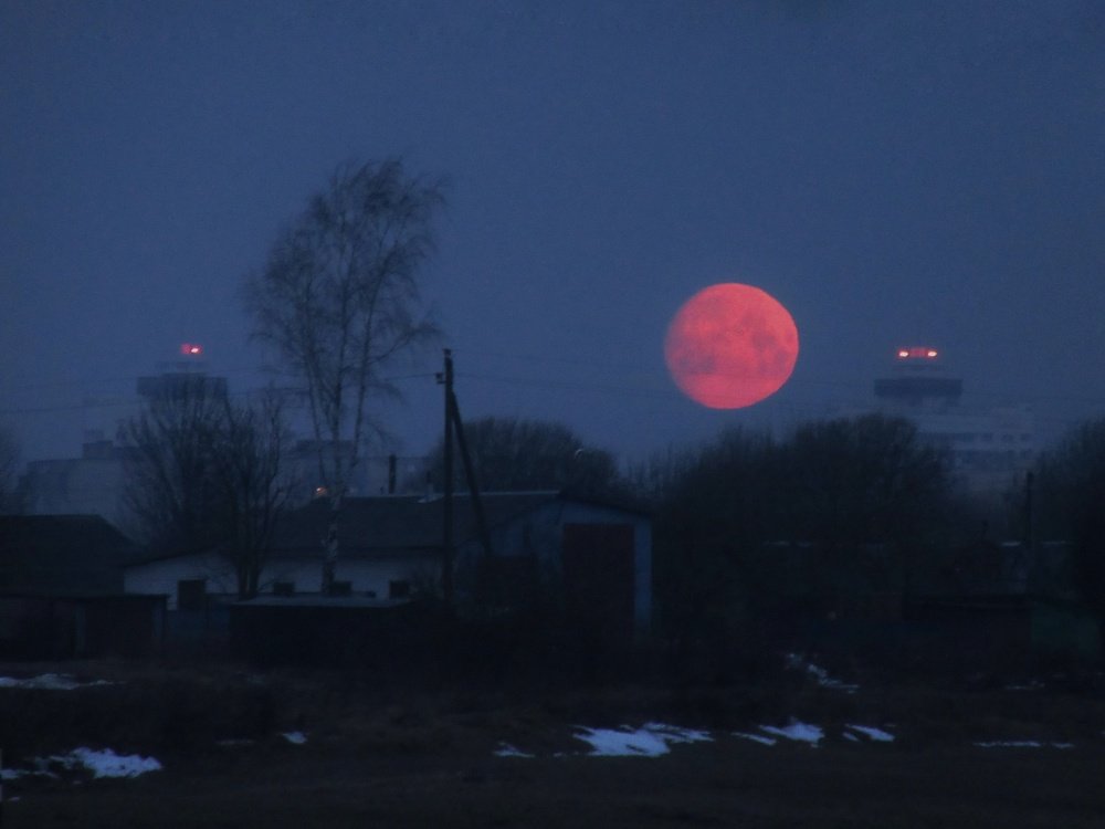 Photograph by Никита Казаков