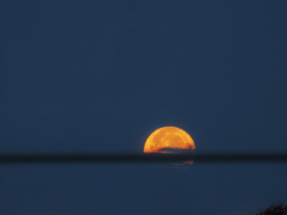 Photograph by Никита Казаков