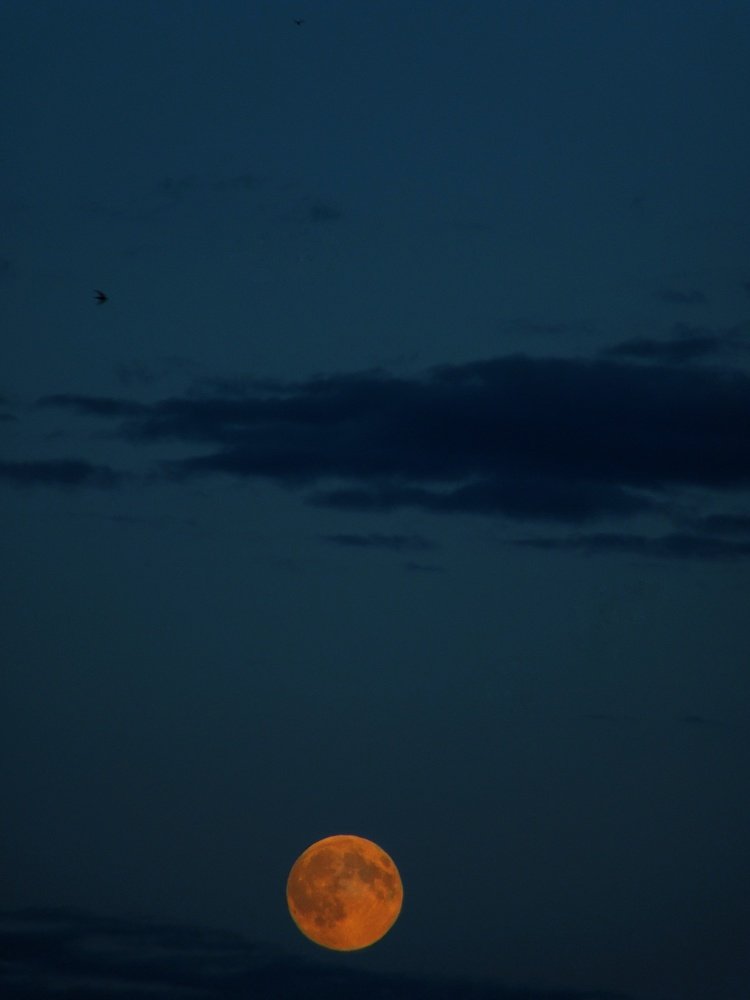 Photograph by Никита Казаков