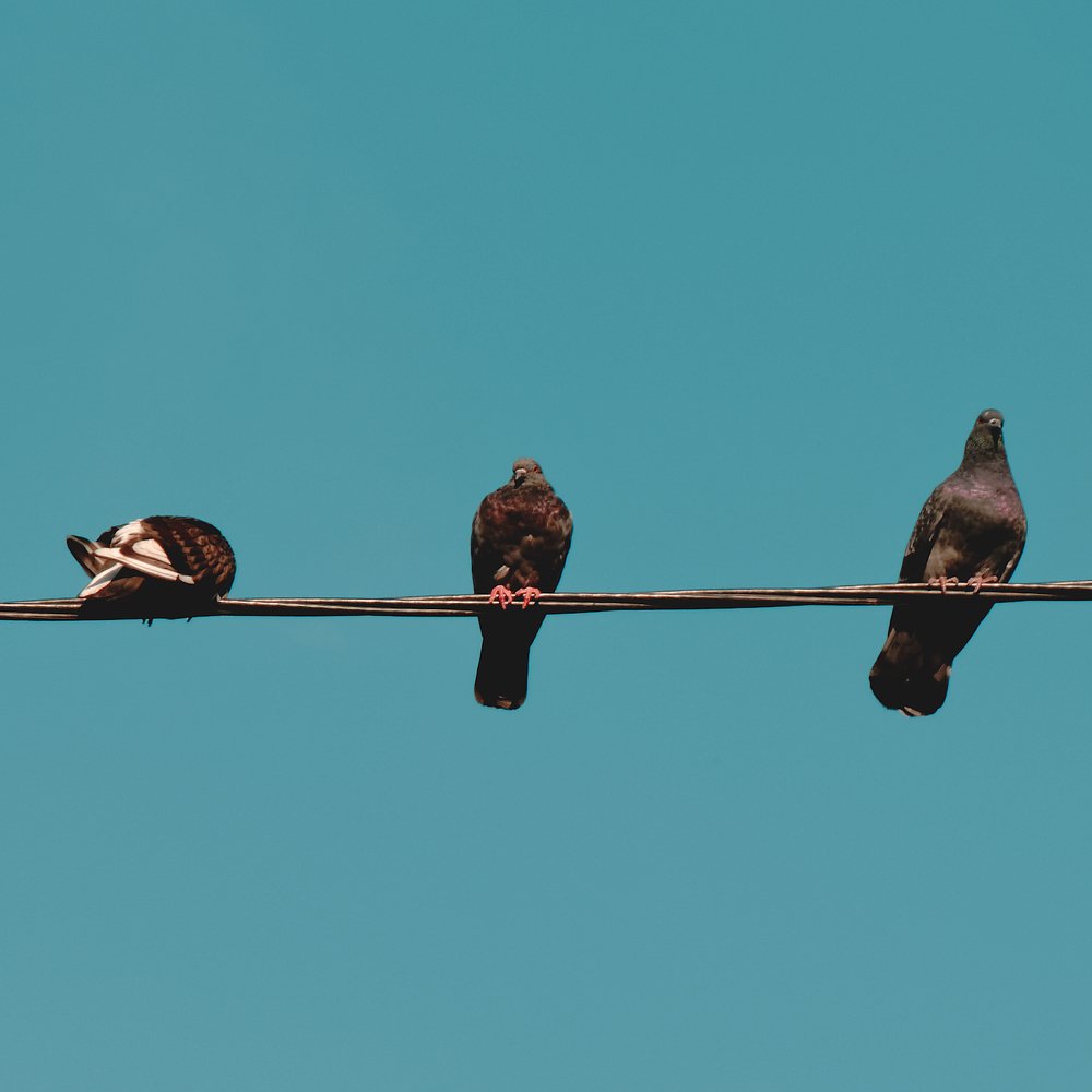 Photograph by Roman Bernatskyi