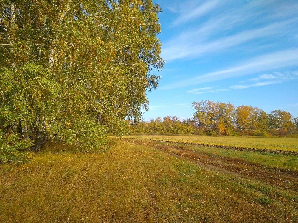 Photograph by Людмила Фризен