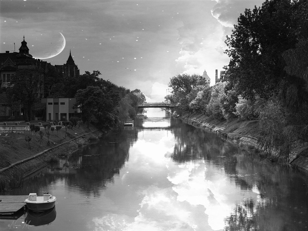 Photograph by Narcis Aurel Mursă