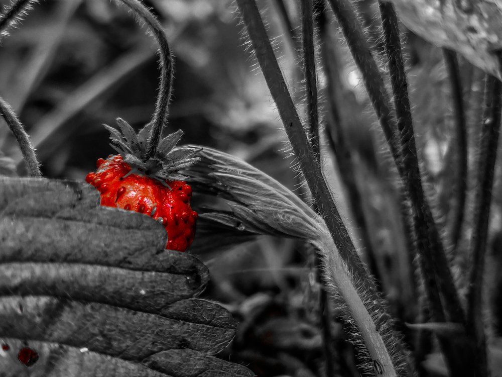 Photograph by Денис Пономарёв