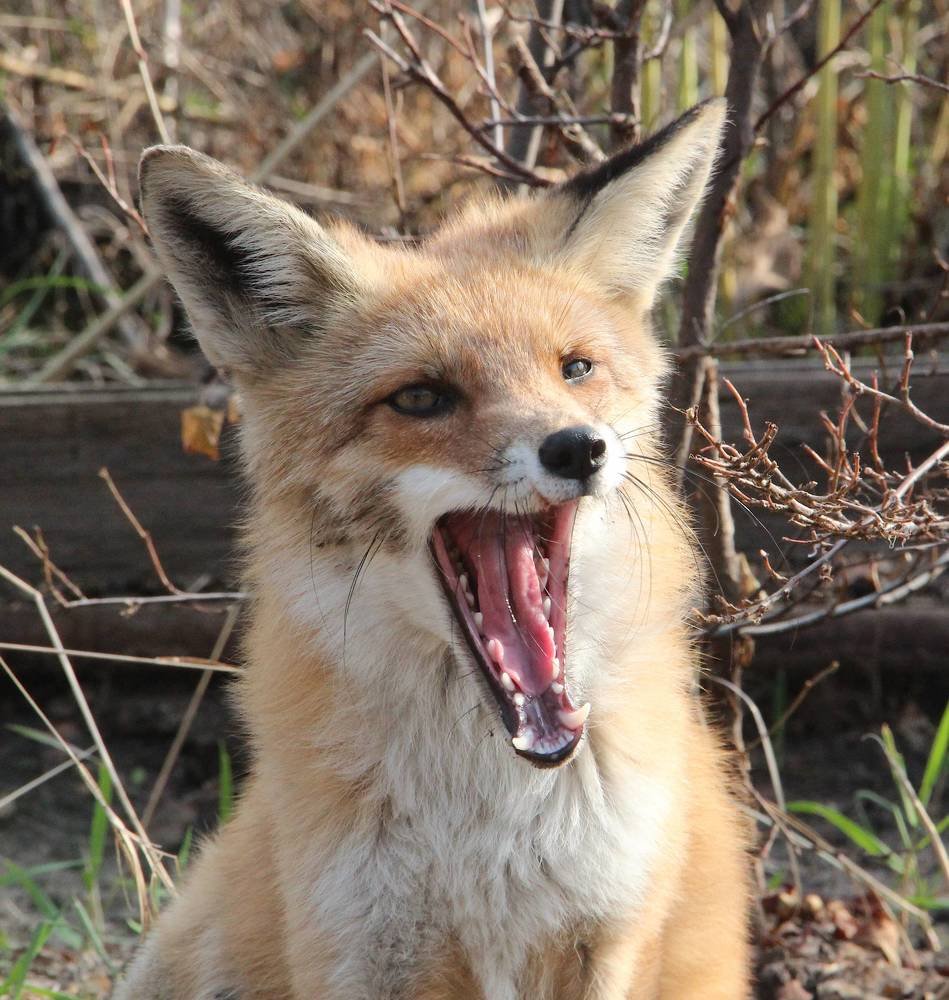 Photograph by Ирина Мамичева