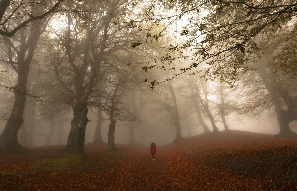 Photograph by shahin khalaji