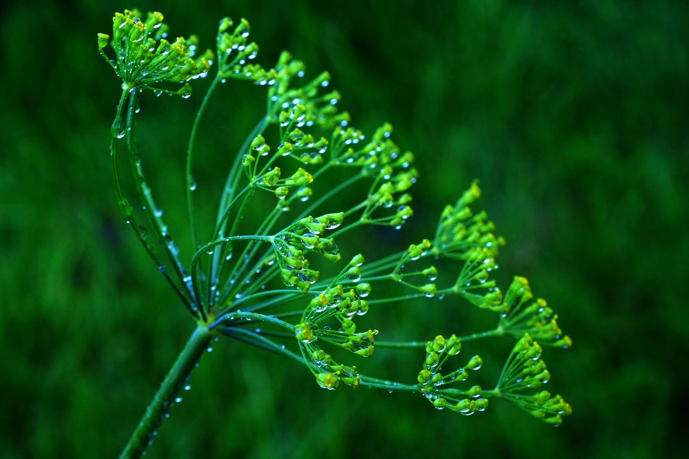 Photograph by Евгений Шувалов
