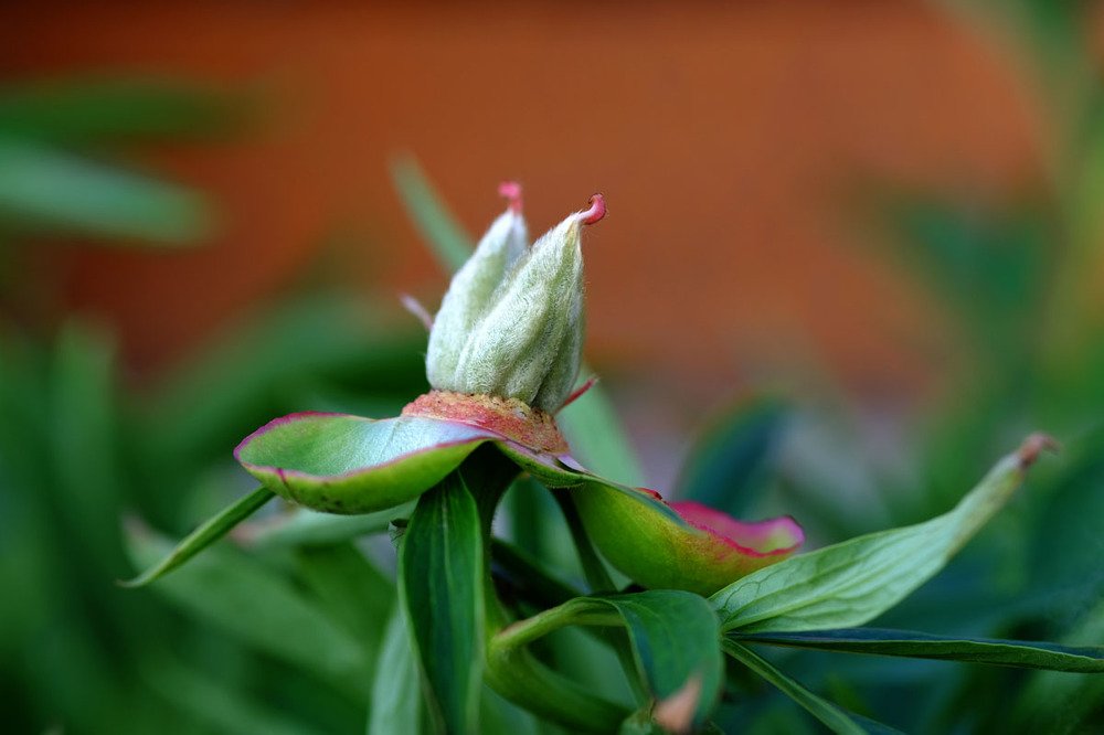 Photograph by Евгений Шувалов