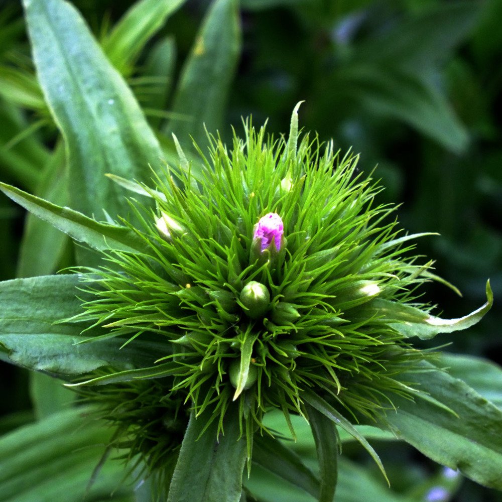 Photograph by Евгений Шувалов