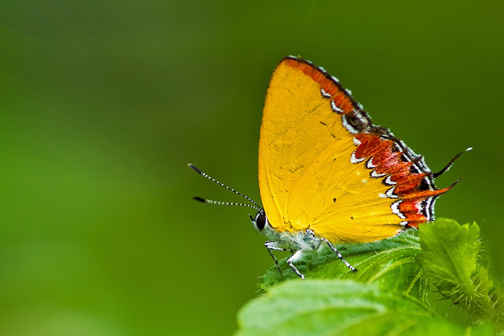 Photograph by Subrata Das