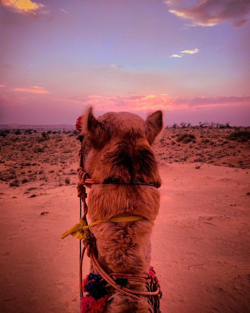 Photograph by Sai udeep sagar Yadalla