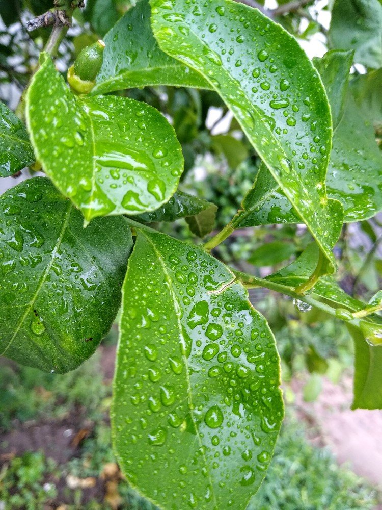 Photograph by Sandra Verónica Bertorello