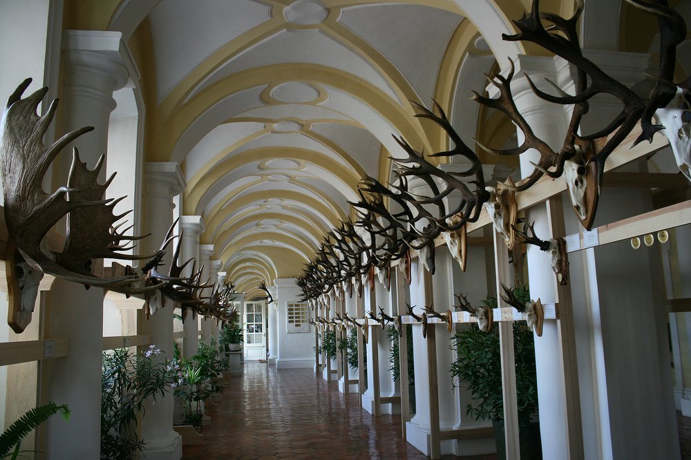 Photograph by Zinaida Nesselmann