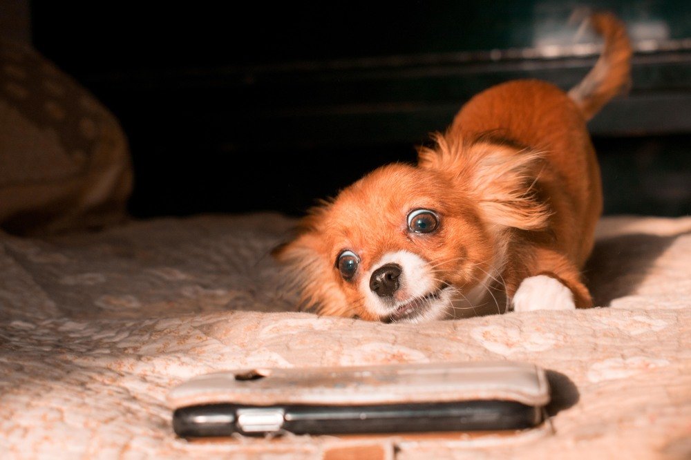 Photograph by Елизавета Аврамова