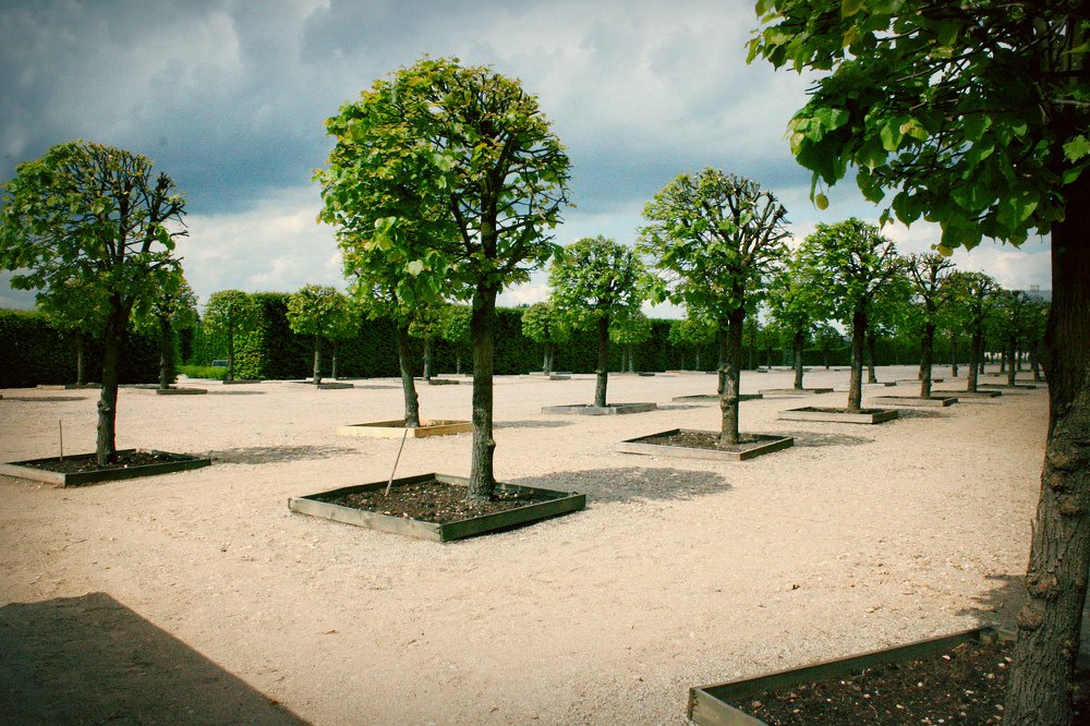 Photograph by Zinaida Nesselmann