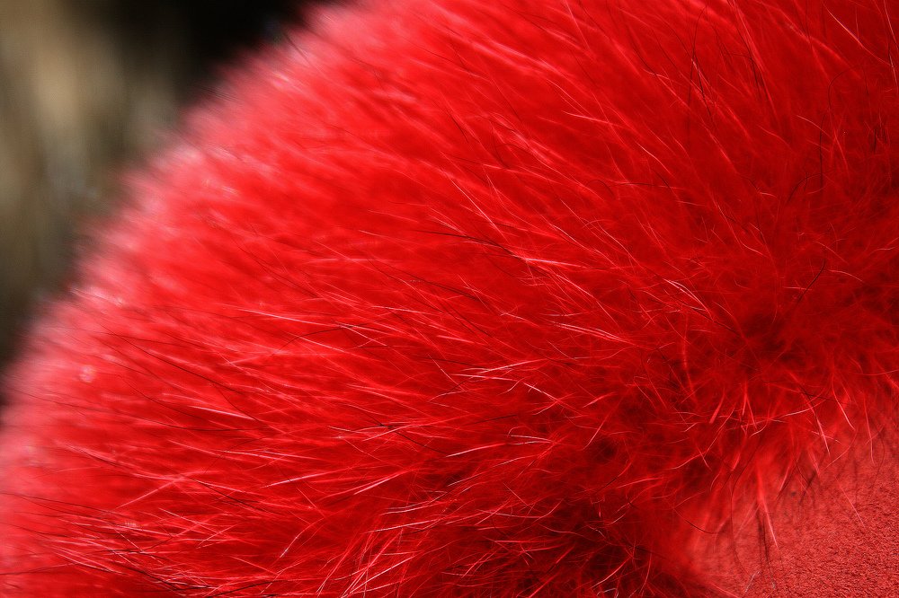 Photograph by Zinaida Nesselmann