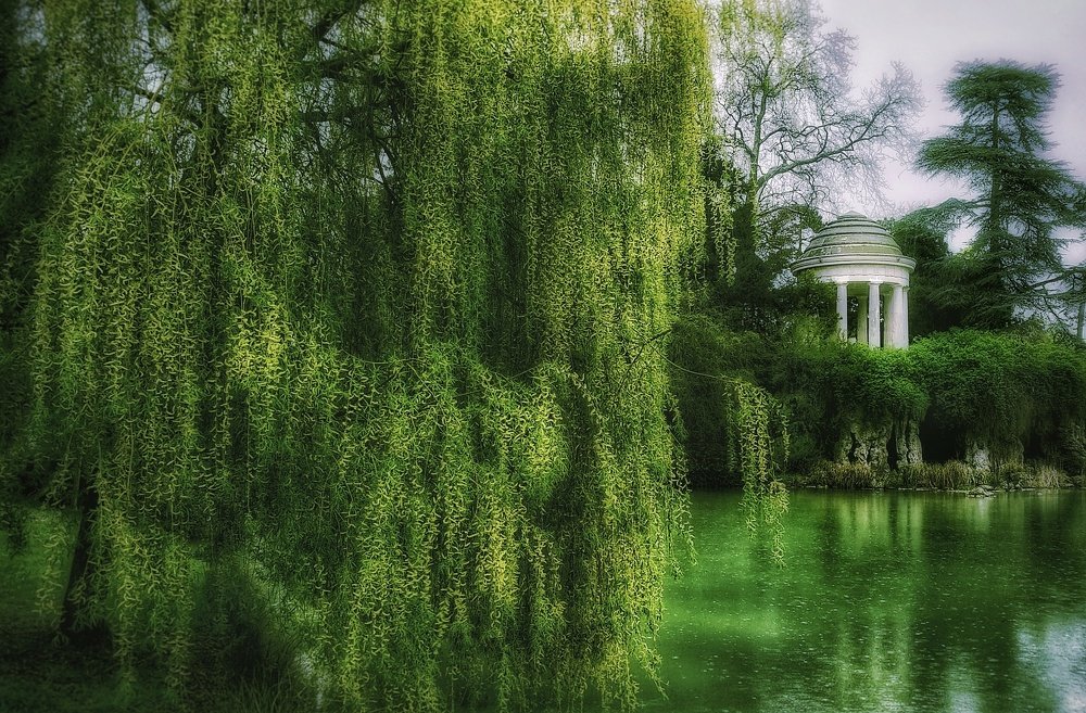 Photograph by Сергей Федоров