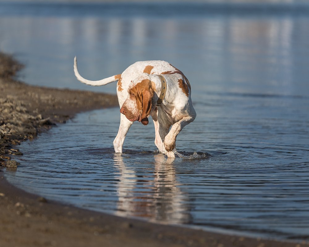 Photograph by Юлия Прозорова