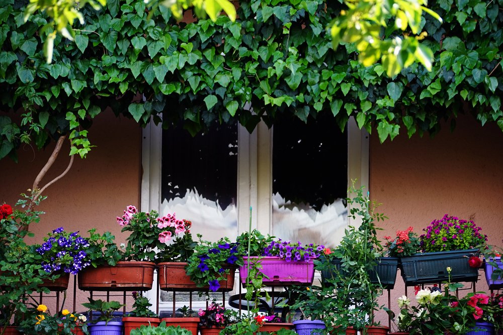 Photograph by Milica Jovicevic