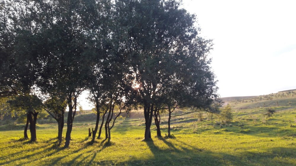 Photograph by Елизавета Можельская