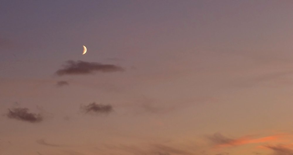 Photograph by Светлана Ковалёнок