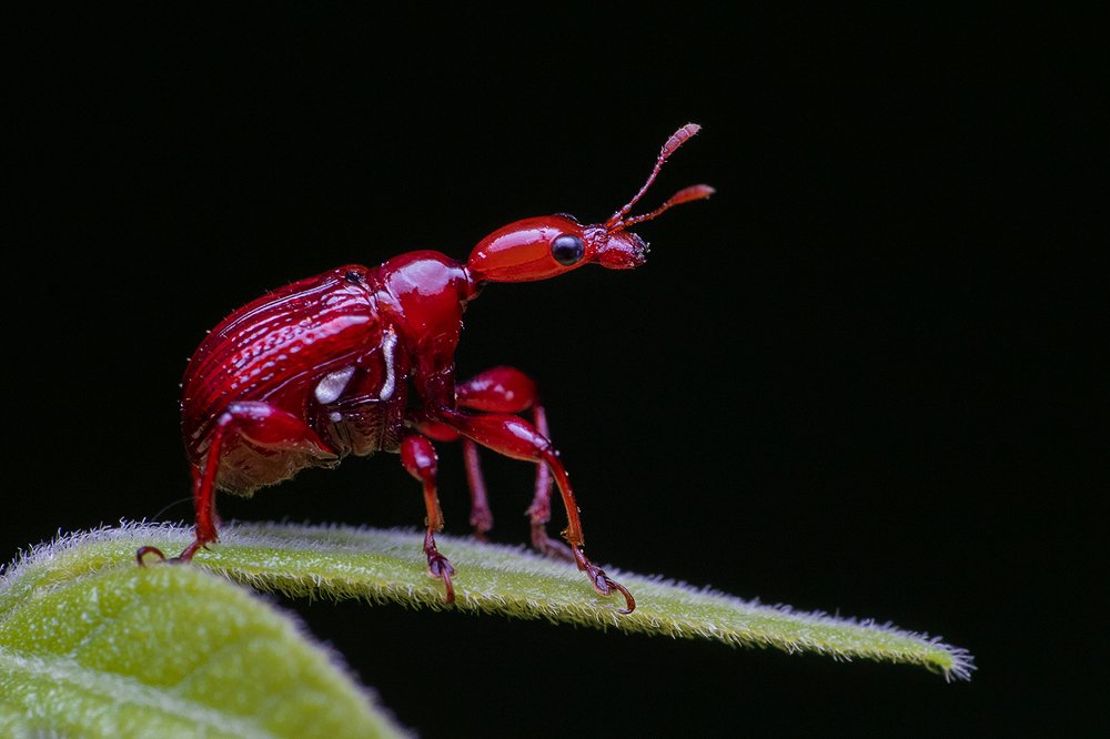 Photograph by Subrata Das